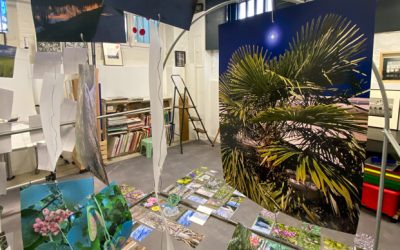 Viearonde élabore une installation photographique lors des POAA 2024