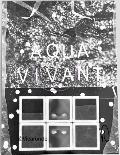 Aqua Vivant VI©Viearonde