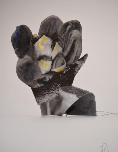 Fleur animale de Viearonde (Isabelle Vandromme)