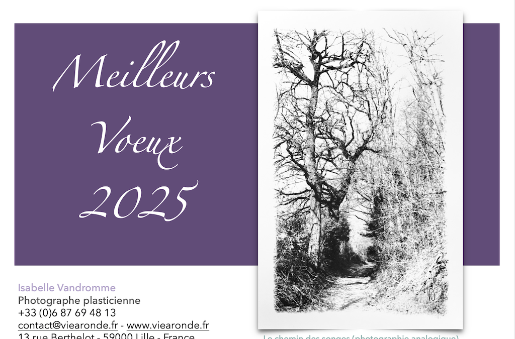 Viearonde vous adresse ses Meilleurs Vœux 2025