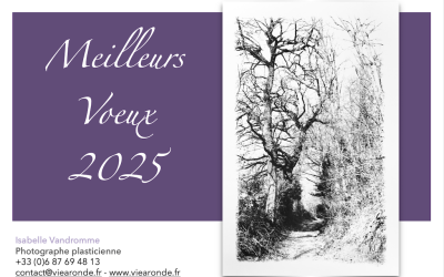 Viearonde vous adresse ses Meilleurs Vœux 2025